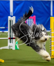 2025-June-Trial-1474