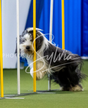 2025-June-Trial-1475