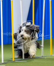 2025-June-Trial-1476