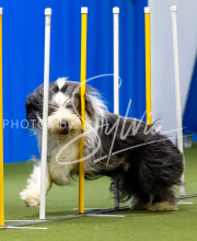 2025-June-Trial-1479