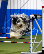 2025-June-Trial-1481