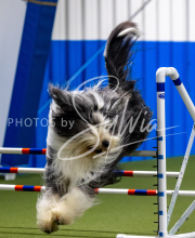 2025-June-Trial-1482