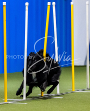 2025-June-Trial-1483