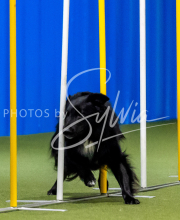 2025-June-Trial-1484