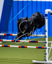 2025-June-Trial-1487