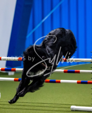 2025-June-Trial-1488