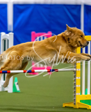 2025-June-Trial-1489