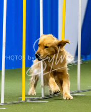 2025-June-Trial-1494