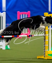 2025-June-Trial-1497