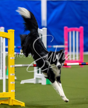 2025-June-Trial-1498