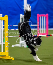 2025-June-Trial-1499