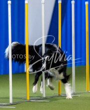 2025-June-Trial-1503