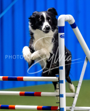 2025-June-Trial-1505