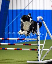 2025-June-Trial-1506