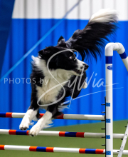 2025-June-Trial-1507