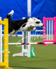 2025-June-Trial-1508