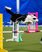 2025-June-Trial-1509