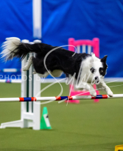 2025-June-Trial-1510