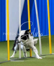 2025-June-Trial-1513