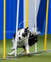 2025-June-Trial-1515