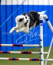 2025-June-Trial-1518