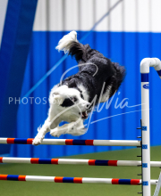 2025-June-Trial-1519