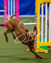 2025-June-Trial-1521