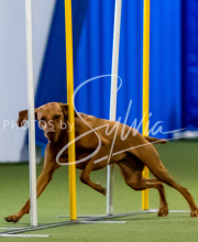 2025-June-Trial-1522