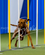 2025-June-Trial-1523