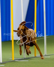 2025-June-Trial-1524