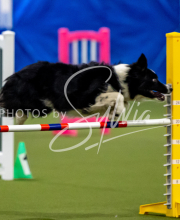 2025-June-Trial-1527