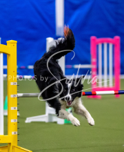 2025-June-Trial-1528