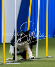 2025-June-Trial-1530