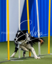 2025-June-Trial-1531