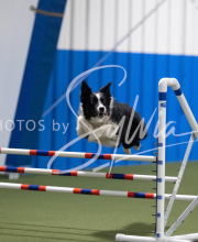 2025-June-Trial-1534