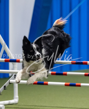 2025-June-Trial-1536