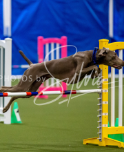 2025-June-Trial-1537