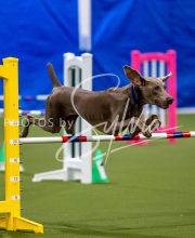 2025-June-Trial-1538