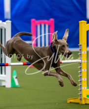 2025-June-Trial-1539