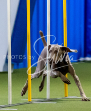 2025-June-Trial-1540