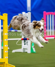 2025-June-Trial-1542