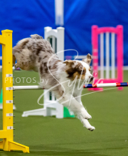 2025-June-Trial-1543