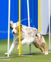 2025-June-Trial-1546