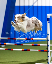 2025-June-Trial-1547