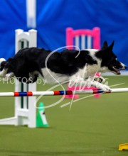 2025-June-Trial-1549