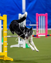 2025-June-Trial-1550