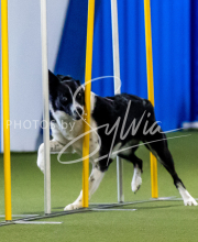 2025-June-Trial-1551