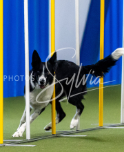 2025-June-Trial-1555