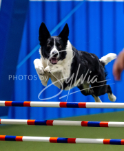 2025-June-Trial-1556