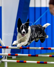 2025-June-Trial-1557